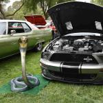 DSC_0134_00081 (June 04, 2023)